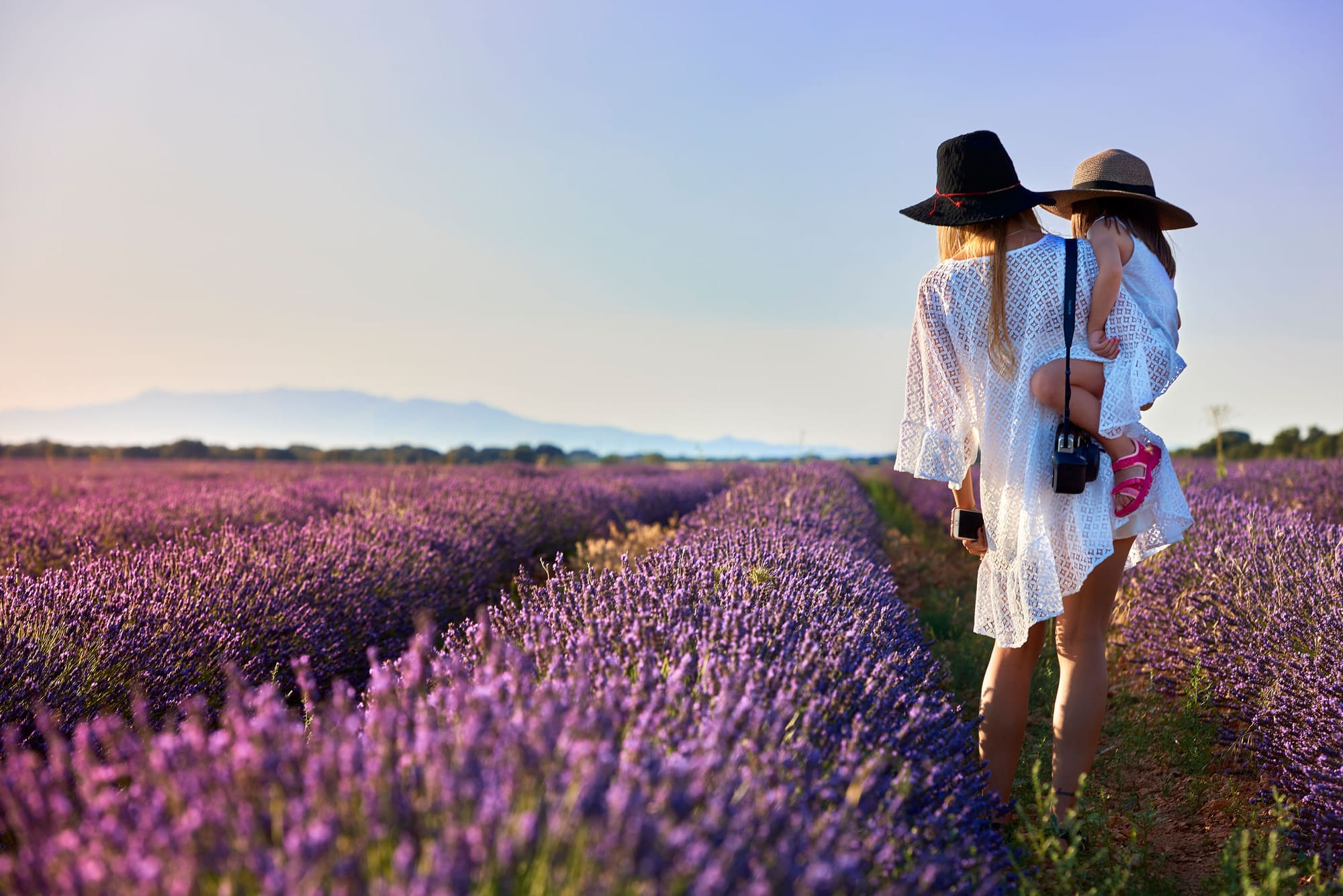 brihuega lavanda 10- Castilla-la Mancha